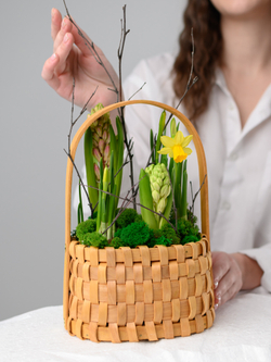 Первые цветы