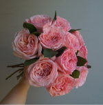 108. Очаровательная Pink O'Hara