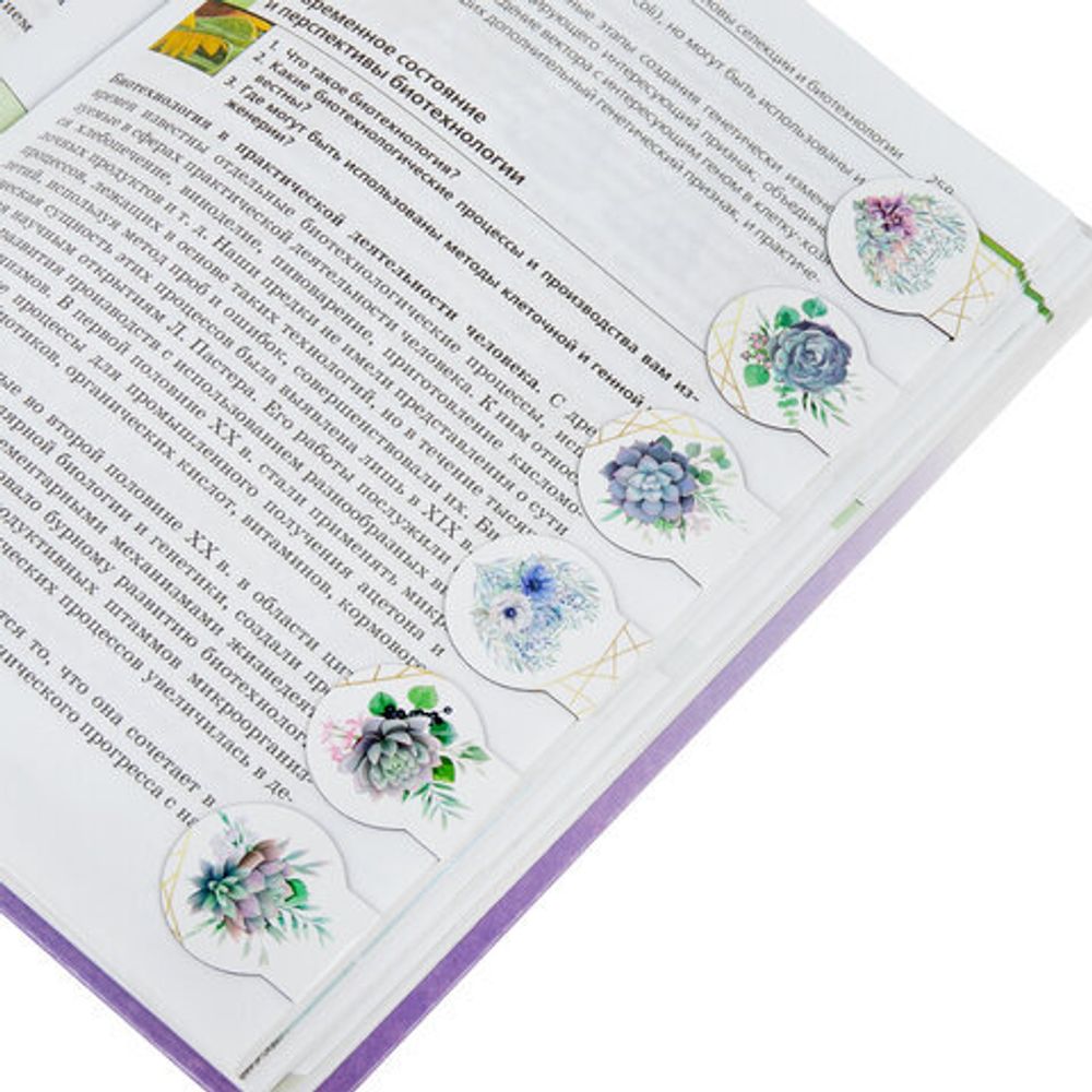Закладки для книг МАГНИТНЫЕ, "FLOWERS", набор 6 шт., 30х25 мм, BRAUBERG, 113168