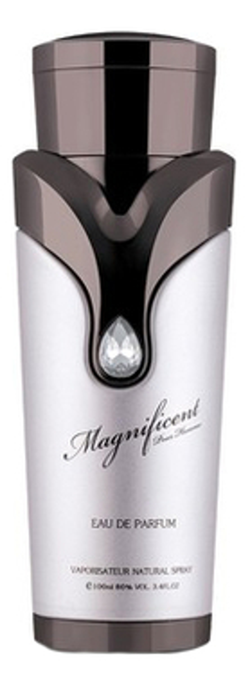 Armaf Magnificent Pour Homme