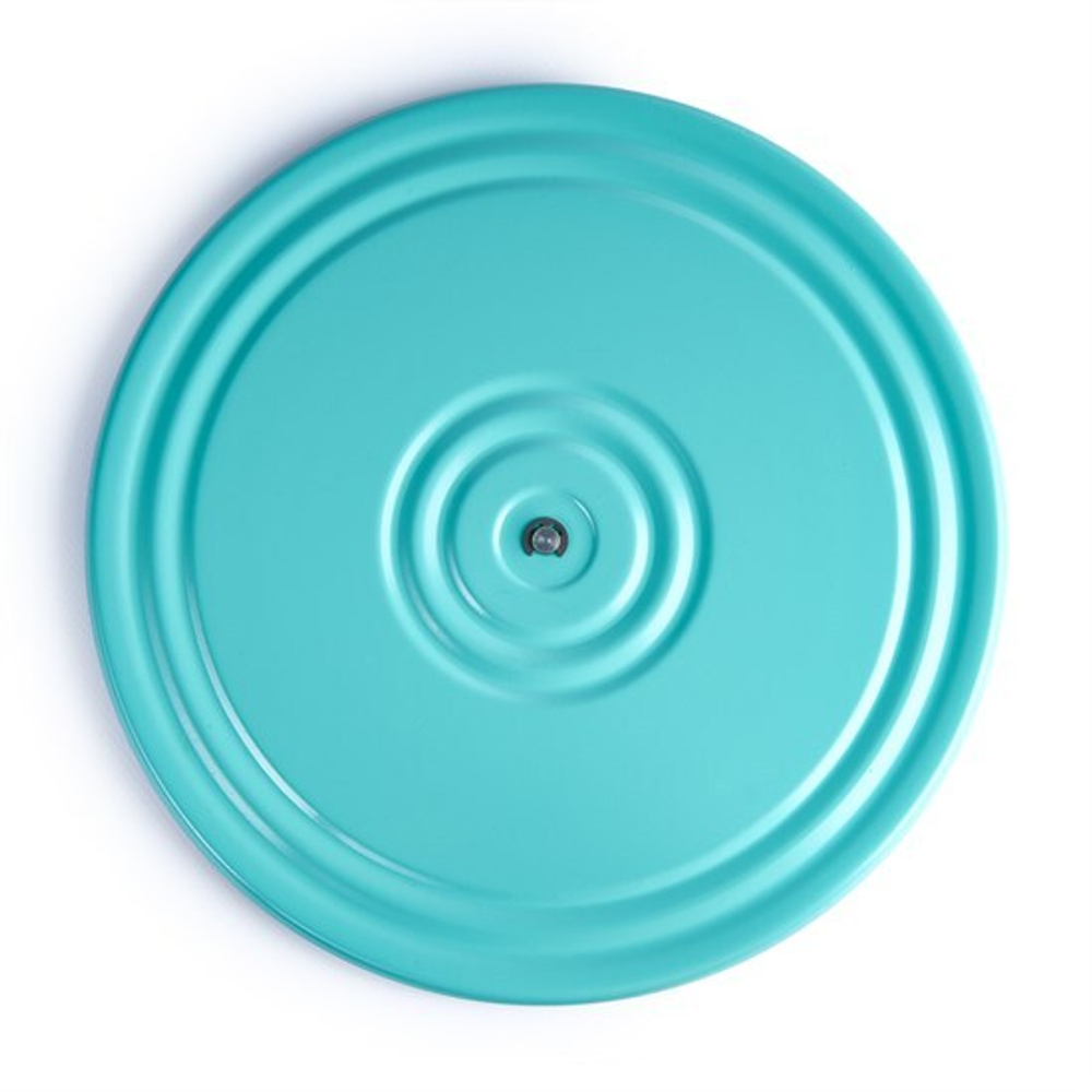 Диск здоровья 2-х цветный, MR-D-243