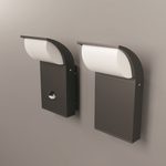 Уличный настенный светильник Outdoor O446WL-L7GF3KSR