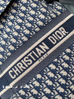 Christian Dior DiorTravel