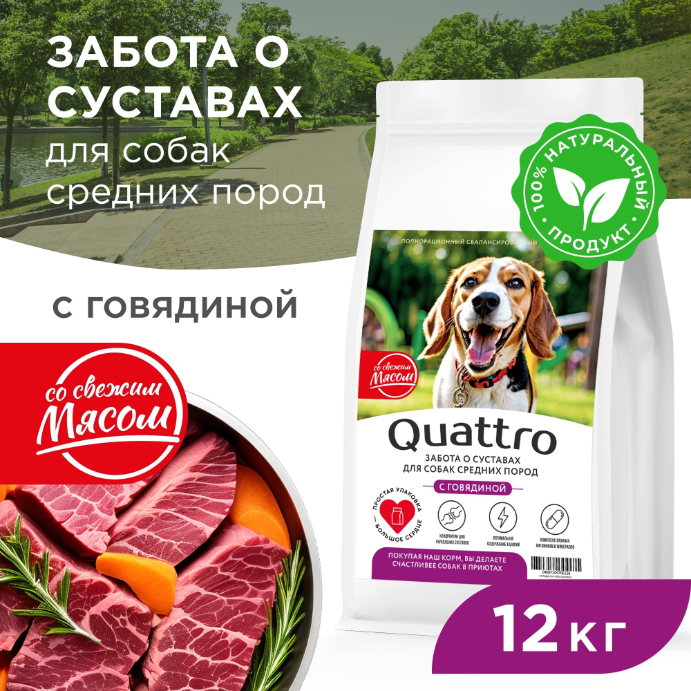 Корм сухой для взрослых собак средних пород, премиум полнорационный комплекс, забота о суставах, с говядиной, 12 кг, QUATTRO