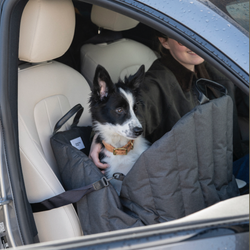 Автокресло - Пони HuntingPony