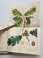 "Карманная дендрология важнейших и употребительнейших пород при кораблестроении (Описание пород деревьев)". П.Г.Орловский. 1835г. - редкая книга