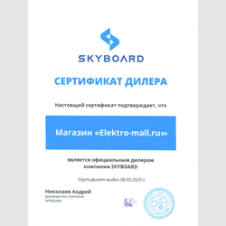 Электроскутер трехколесный CityCoco Trike Skyboard 1000W 20AH/60V
