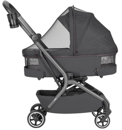 Коляска Carrello Magia CRL-6555 2 в 1 Elm Grey