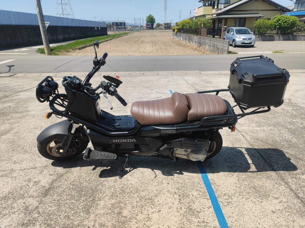 Honda PS250 Big Ruckus , 2004