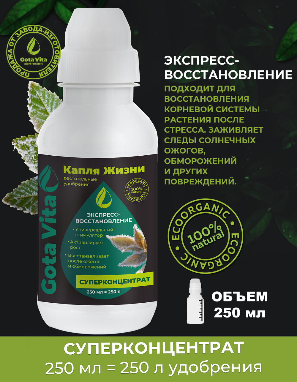 Экспресс восстановление