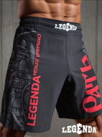 Шорты спортивные тренировочные Legenda Рать2 Варяг черный