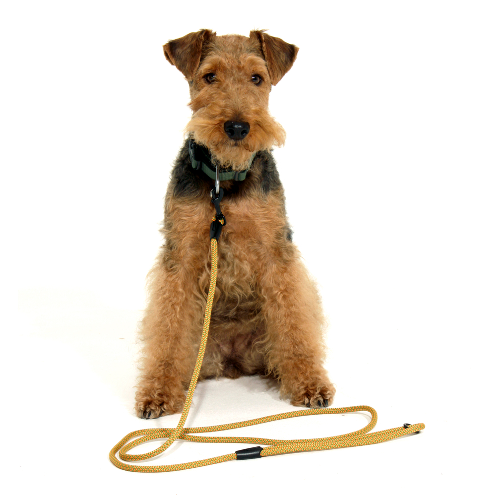 Поводок Weekend Doglea