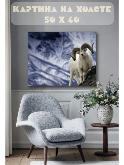 Картина на стену 40 X 50 Горный козел