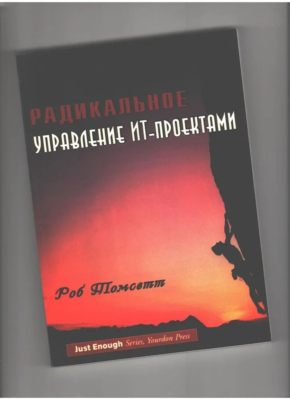 Радикальное управление ИТ-проектами