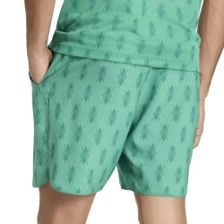 Мужские теннисные шорты Adidas Club Tennis Climacool Graphic 9in - semi court green/collegiate green