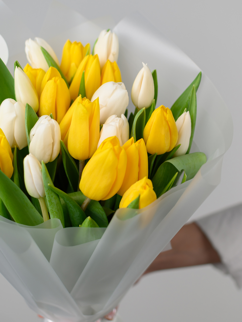 Тюльпаны микс