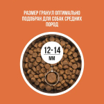 Сухой корм для собак средних пород с чувствительным пищеварением или склонных к аллергии с ягненком, индейкой, рисом и морковью BOWL WOW 10кг