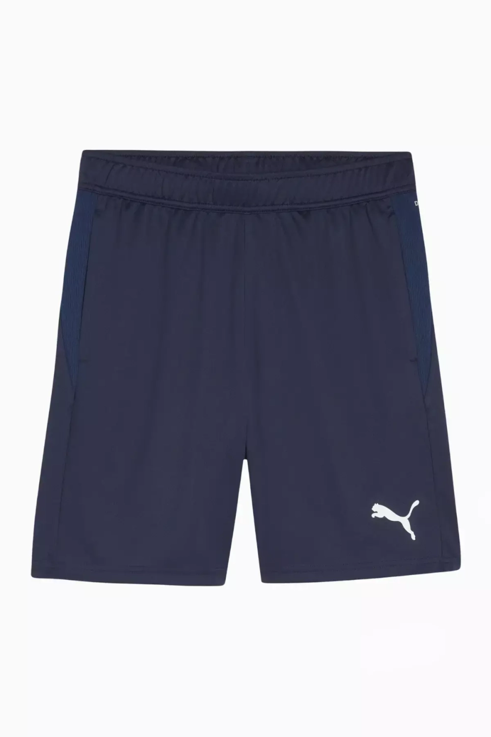 Шорты Puma teamGOAL Training