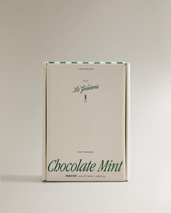 Zara Home CHOCOLATE MINT REED DIFFUSERS — ароматический диффузор с тростниковыми палочками, Шоколадно-мятный, 120 мл