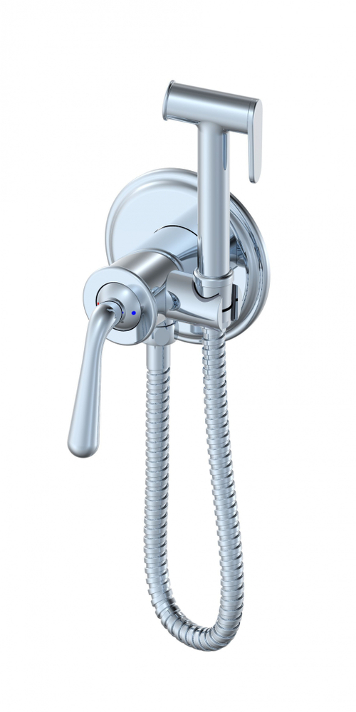 Смеситель с гигиеническим душем встраиваемый WONZON & WOGHAND STEAM, Хром (WW-88829008-CR)