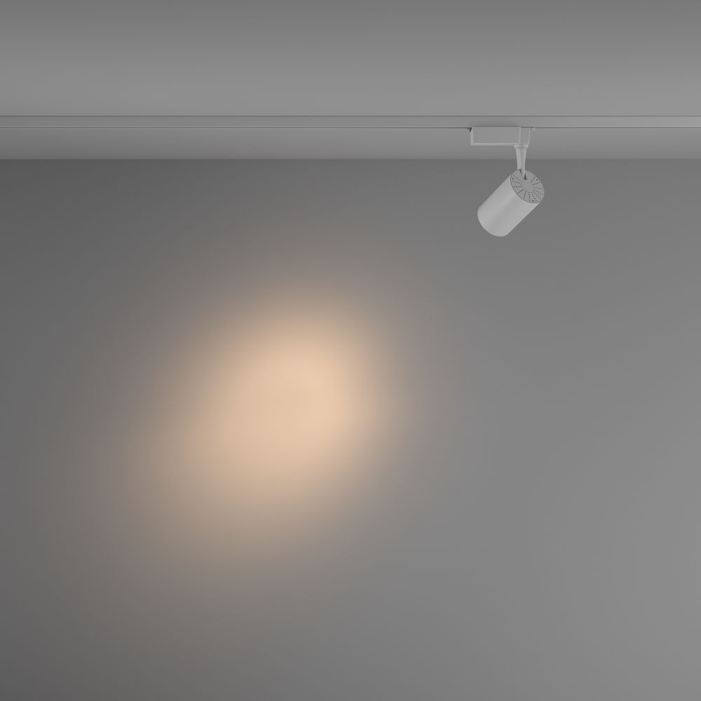 Трековый однофазный светодиодный светильник Maytoni   TR003-1-10W3K-S-W
