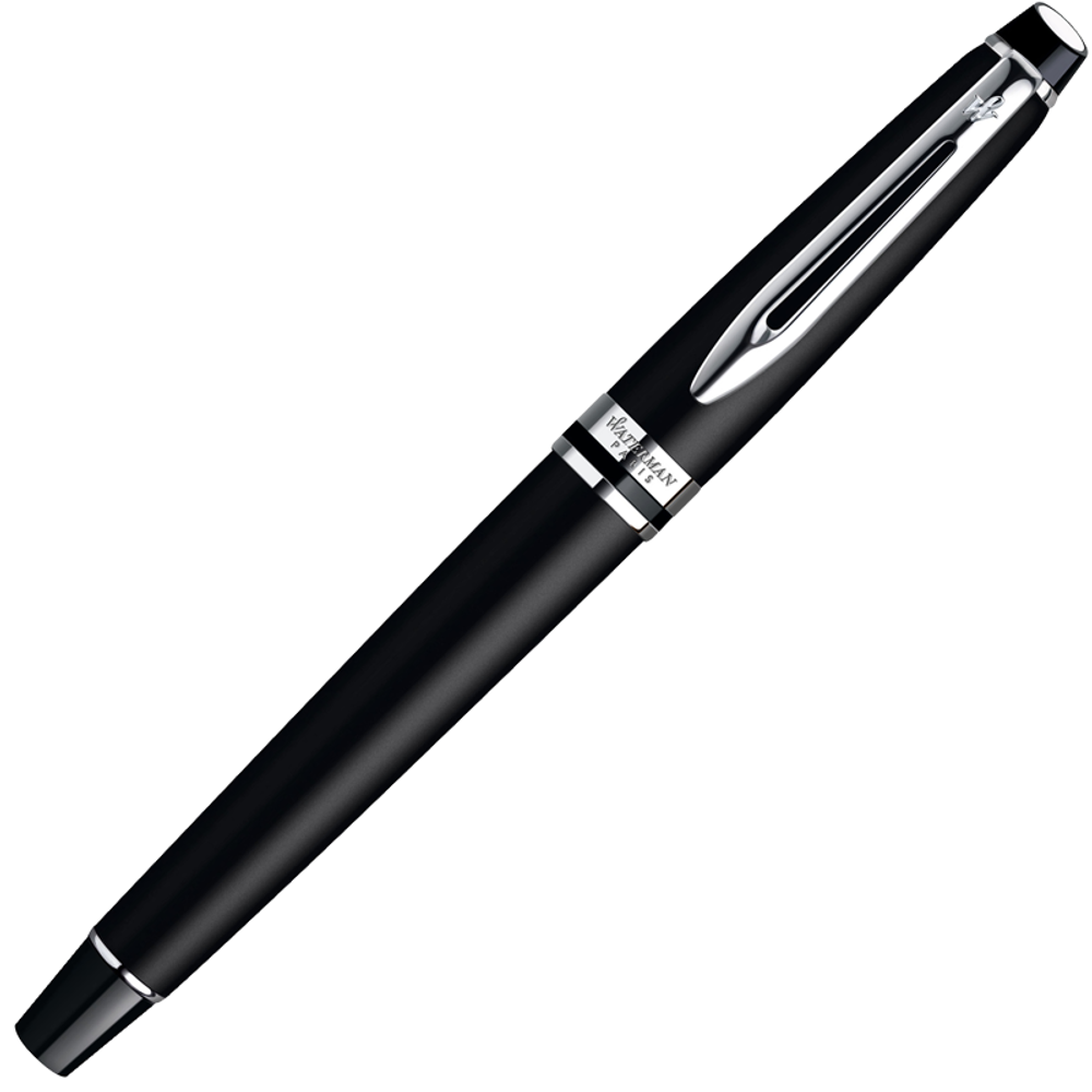 Ручка перьевая Waterman Expert F