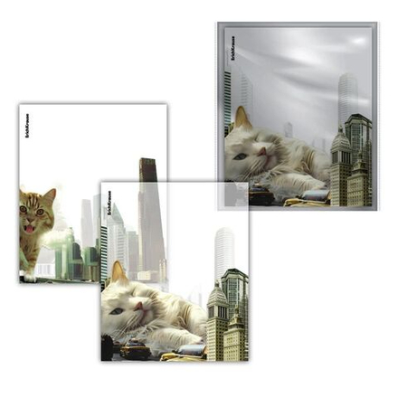 Набор обложек для тетрадей и дневн. (212х347мм), 80мкм, Big City Cats (12шт)