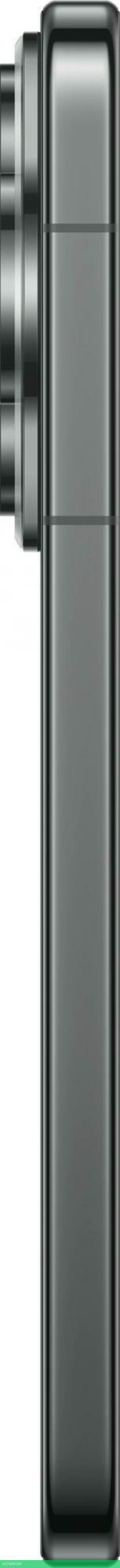 Смартфон Huawei Pura 70 12/256GB ADY-LX9 Black (51097VXY)