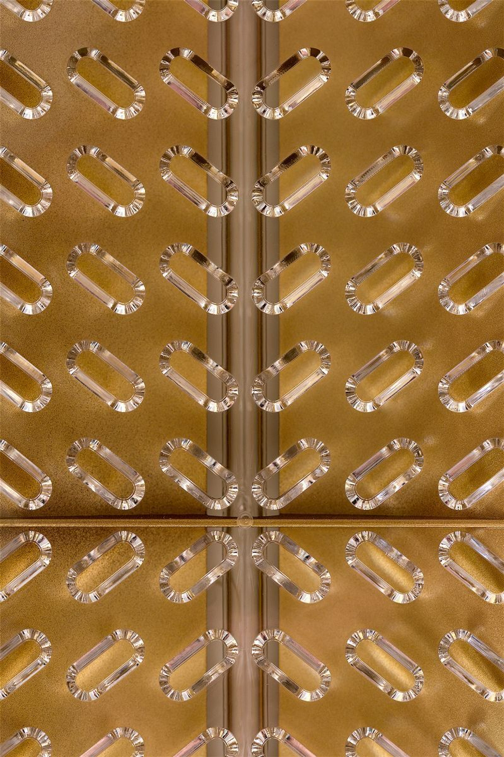 Контейнер для обработки Rosa Rugosa Security Knight Q3 (Цвет: белый с золотистым)