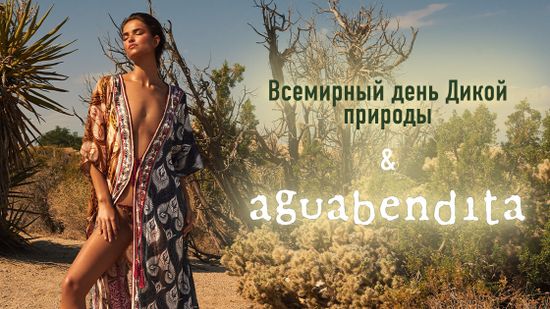 🦁 Всемирный день Дикой природы! 🌴