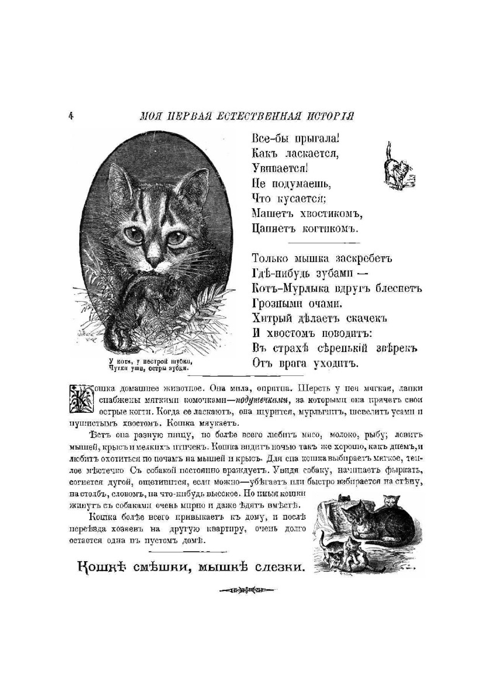 Моя первая естественная история | Некрасова Л. М.