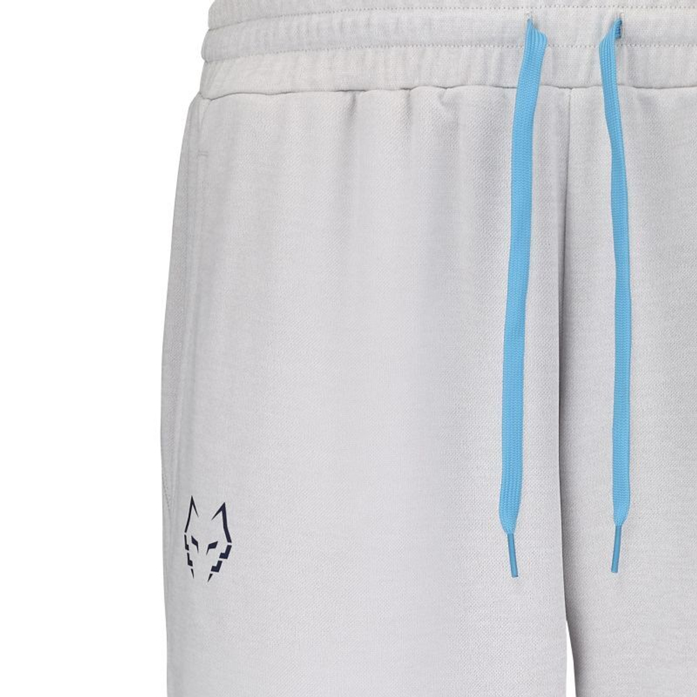 Мужские теннисные штаны Babolat Pant Lebron - серый