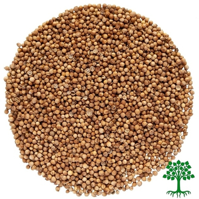 Кориандр целый Высший сорт