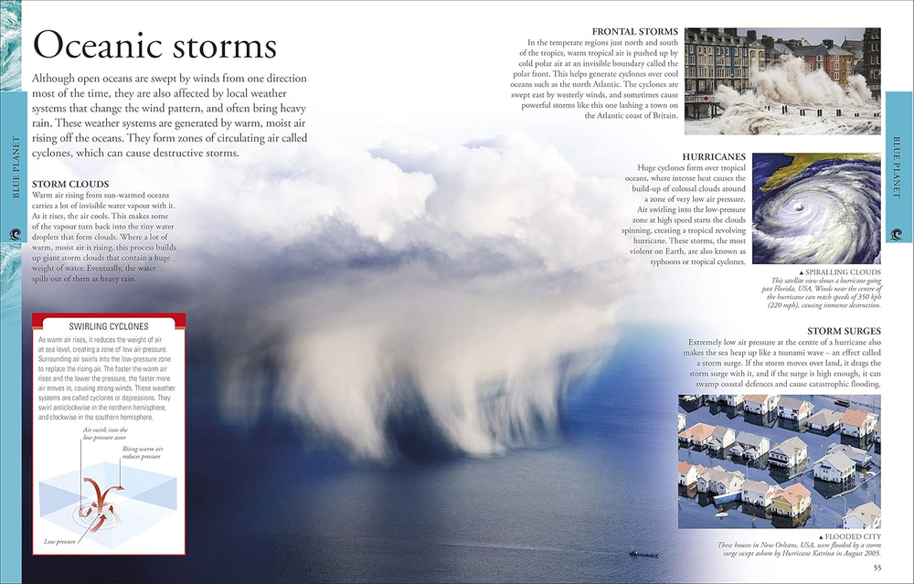 Ocean A Childrens Encyclopedia