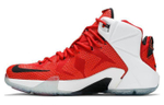 Кроссовки Nike Lebron 12 Heart Of A Lion 12