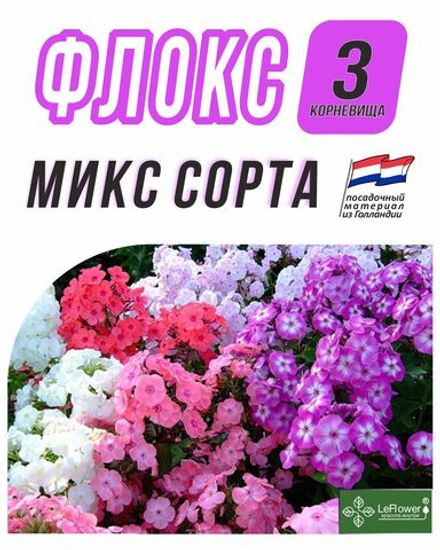 Флоксы Корневище, Микс сортов, 3шт