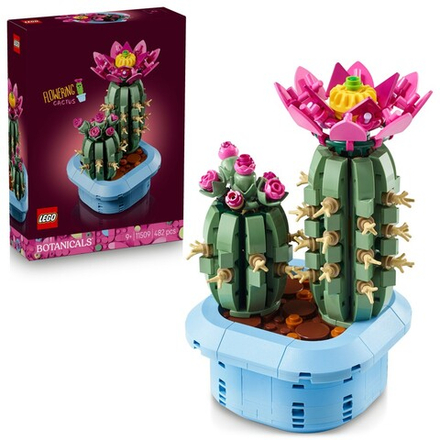 LEGO Botanicals - Цветущий кактус 11509
