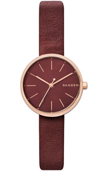 Женские часы Skagen SKW2646