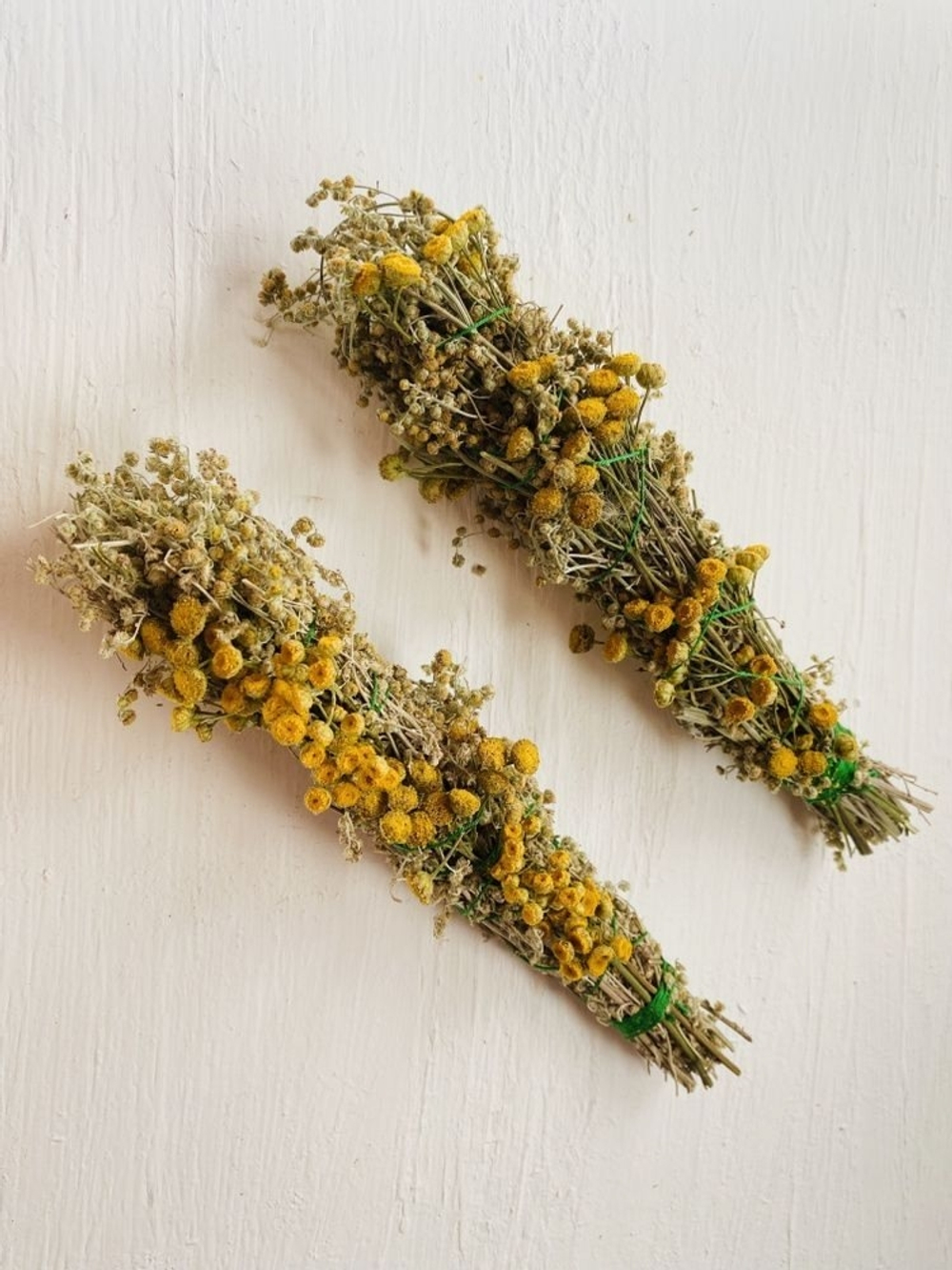 Пижма скрутка травяная