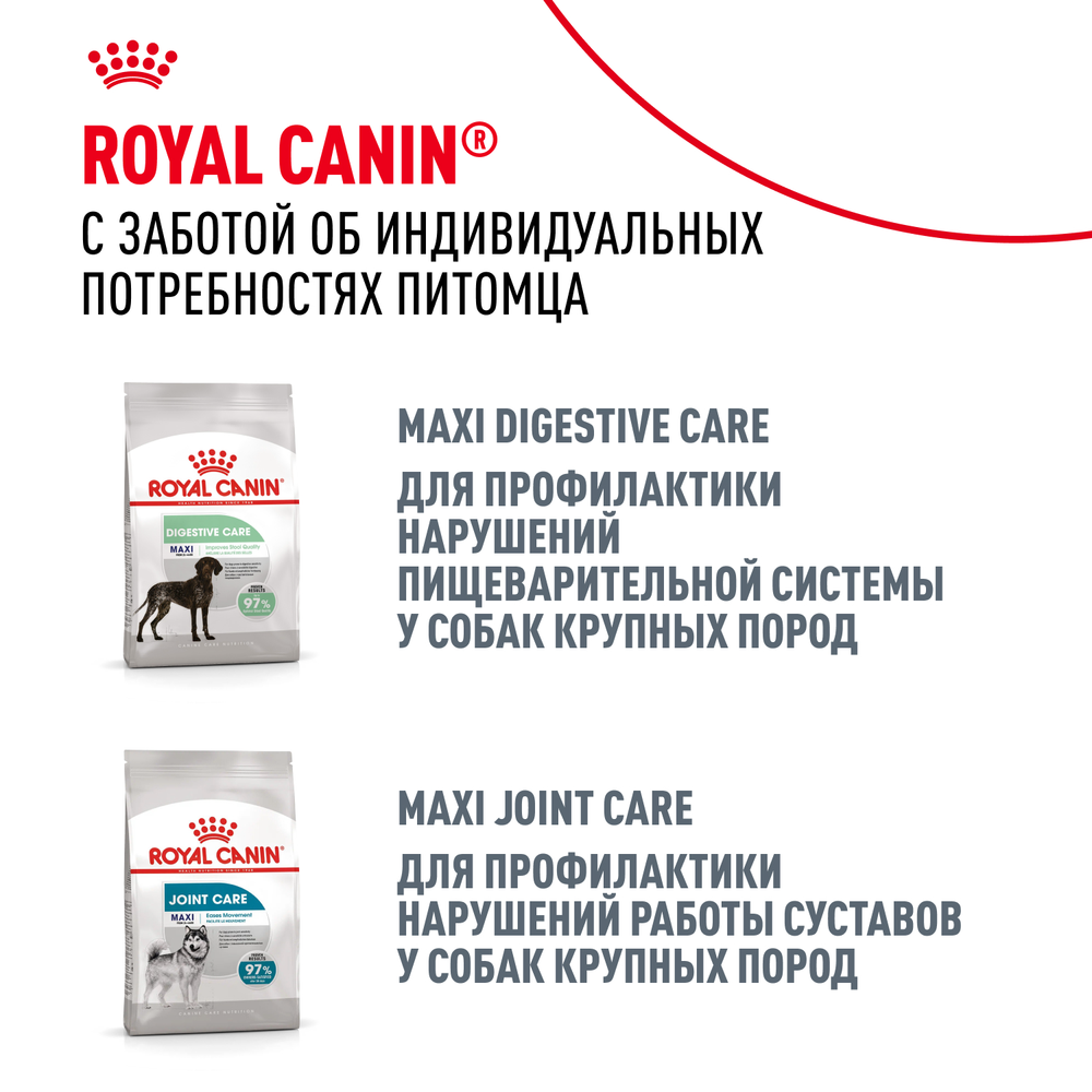 Royal Canin Maxi Dermacomfort Макси Дермакомфорт Корм сухой для взрослых собак крупных размеров при раздражениях и зуде кожи 10кг