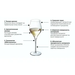 Бокал-флюте для шампанского 350 мл хр. стекло "Эксалтейшн" d 8,1 см h23,5 см Chef&Sommelier [6]