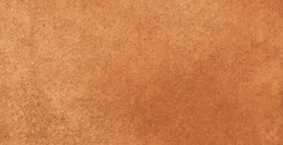 Подступенник Loseta Gobi