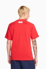 Футболка Nike PSG 24/25 Travel