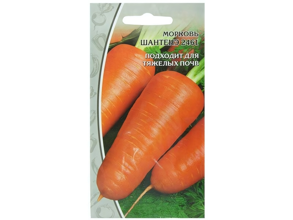 МОРКОВЬ Шантенэ 2461 (2г) ЛЮКС среднеспелый Цв.пак (10шт)