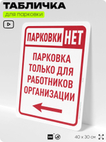 Табличка для парковки "Парковки нет, только для работников организации №6", для дома, офиса, организаций, 40х30 см, Silver Plane x Айдентика Технолоджи