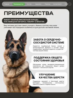 Корм сухой для взрослых собак породы Немецкая овчарка, с ягненком, 12 кг, QUATTRO