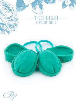 Тюльпан средний 2
