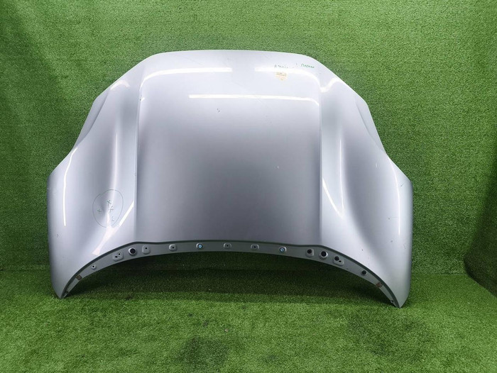 Капот Zeekr 001 (2021-н.в.) (В пленке)