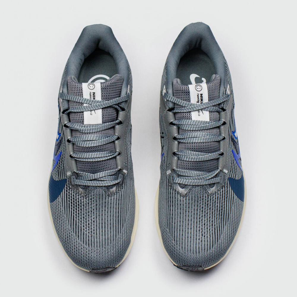 кроссовки Nike Air Zoom Pegasus 40 Grey 2Sw. Blue