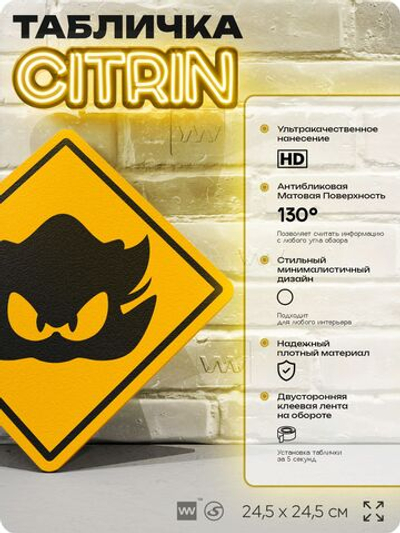 Табличка декоративная "Ежик Шедоу" на дверь и стену, прикольная штука в подарок в комнату, декоративный знак, 24,5х24,5 см, пластиковая, Айдентика Технолоджи